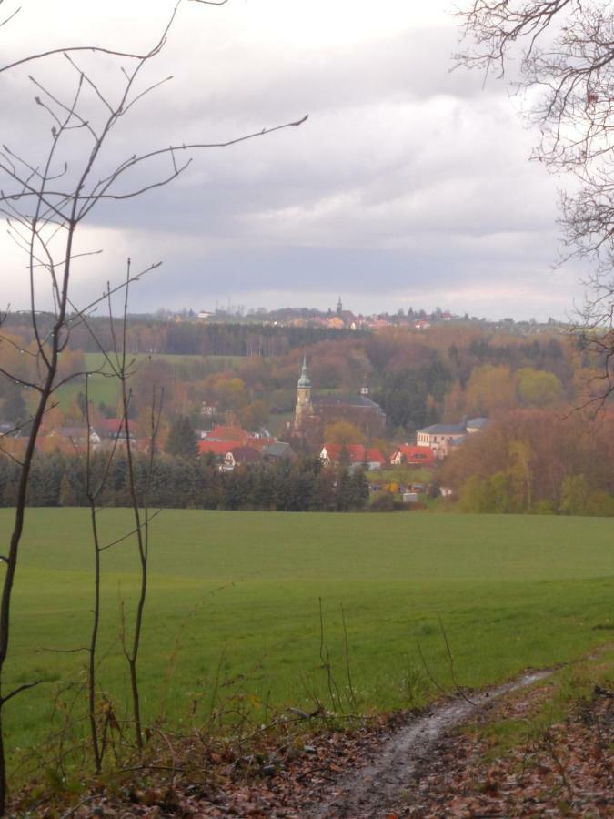 Gruensteinhof - Wohnung Rotstein Ebersbach-Neugersdorf Екстер'єр фото